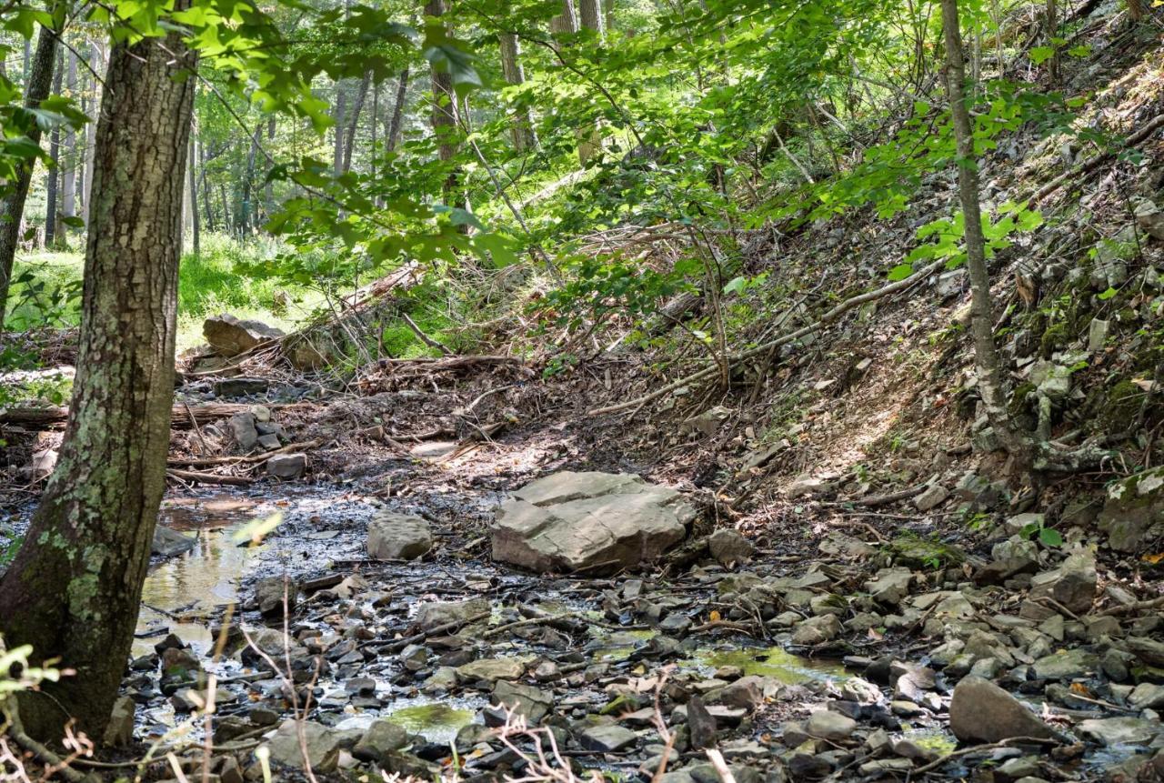River Access W Hot Tub, Grill, Wifi, & Fire Pit! Lost City Bagian luar foto